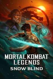 Imagen Mortal Kombat Legends: Frío y Penumbra 2022