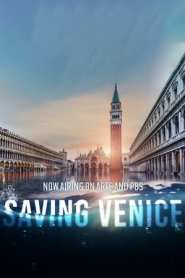 Imagen Cómo salvar Venecia