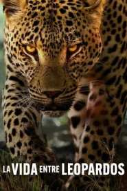 Imagen La vida entre leopardos 2024