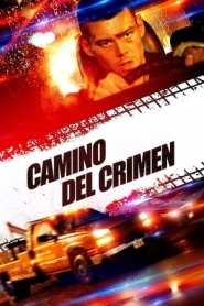 Imagen Camino del crimen 2018