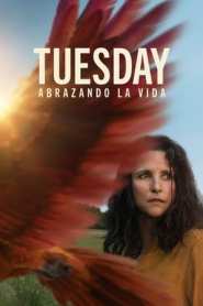 Imagen Tuesday, Abrazando La Vida 2024