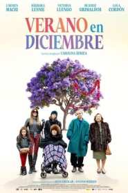 Imagen Verano en diciembre 2024