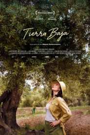 Imagen Tierra Baja 2025