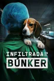 Imagen Infiltrada en el búnker 2025
