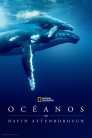 Imagen Océanos con David Attenborough 2025