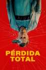 Imagen Pérdida total 2025